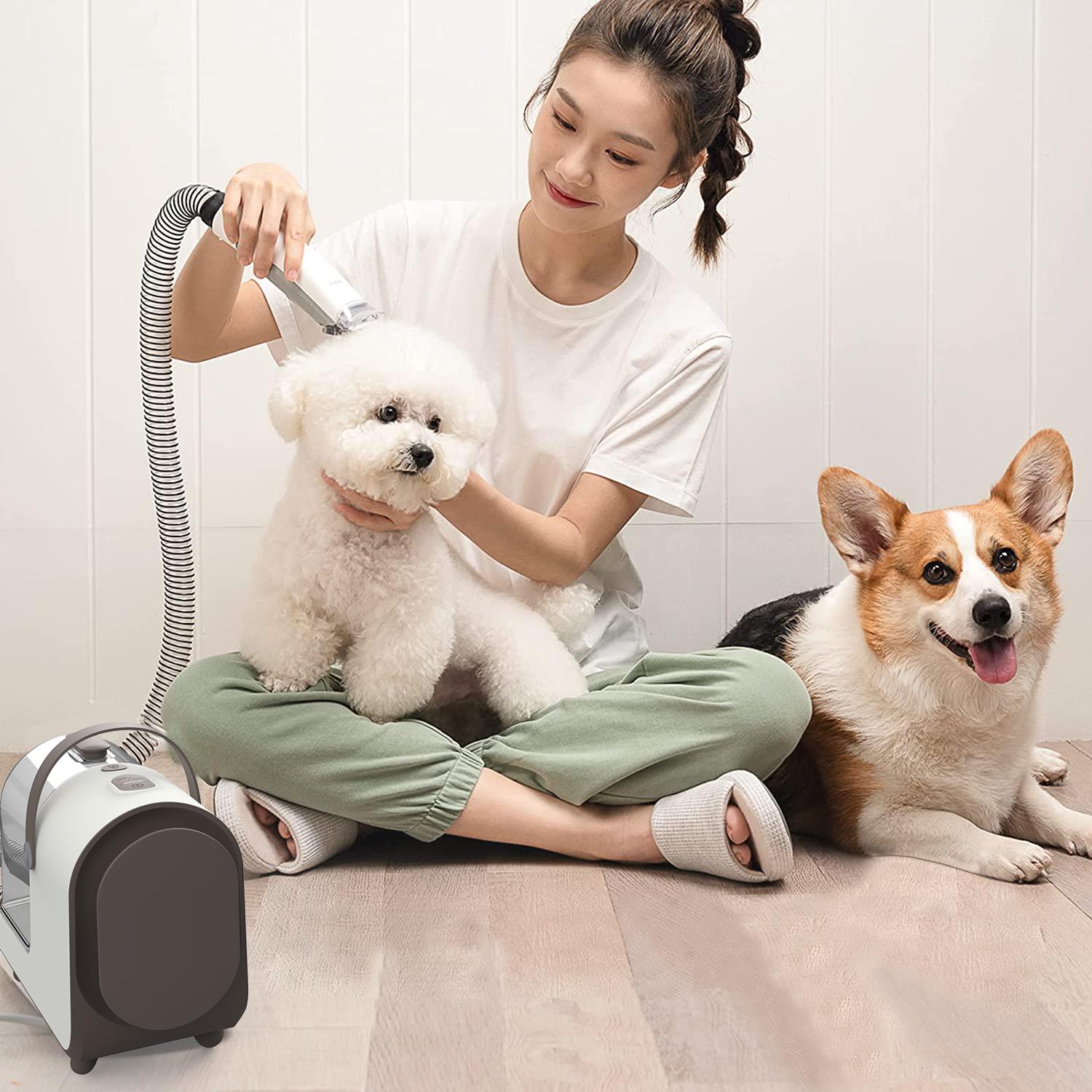 Small Dog Grooming Kit Vacuum Tools Quiet Pet Grooming Vacuum from
